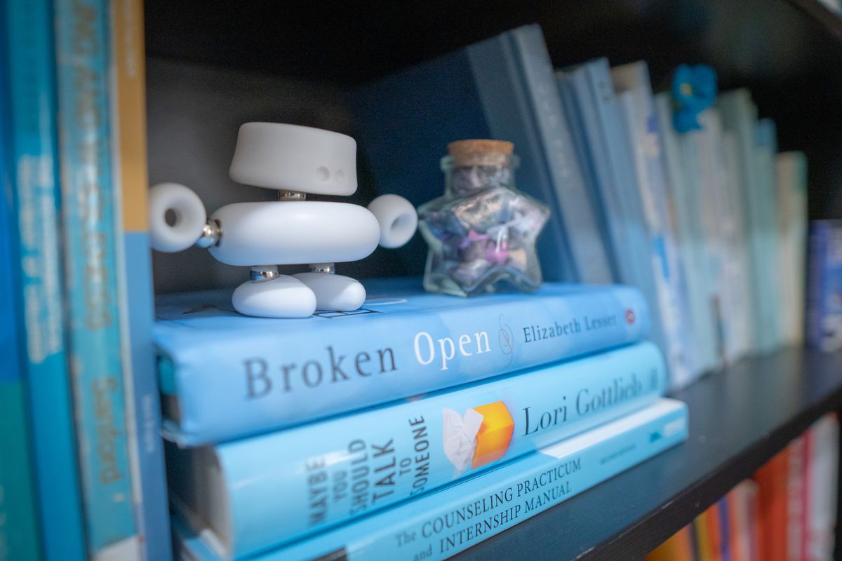 Counseling books on Aly's shelf