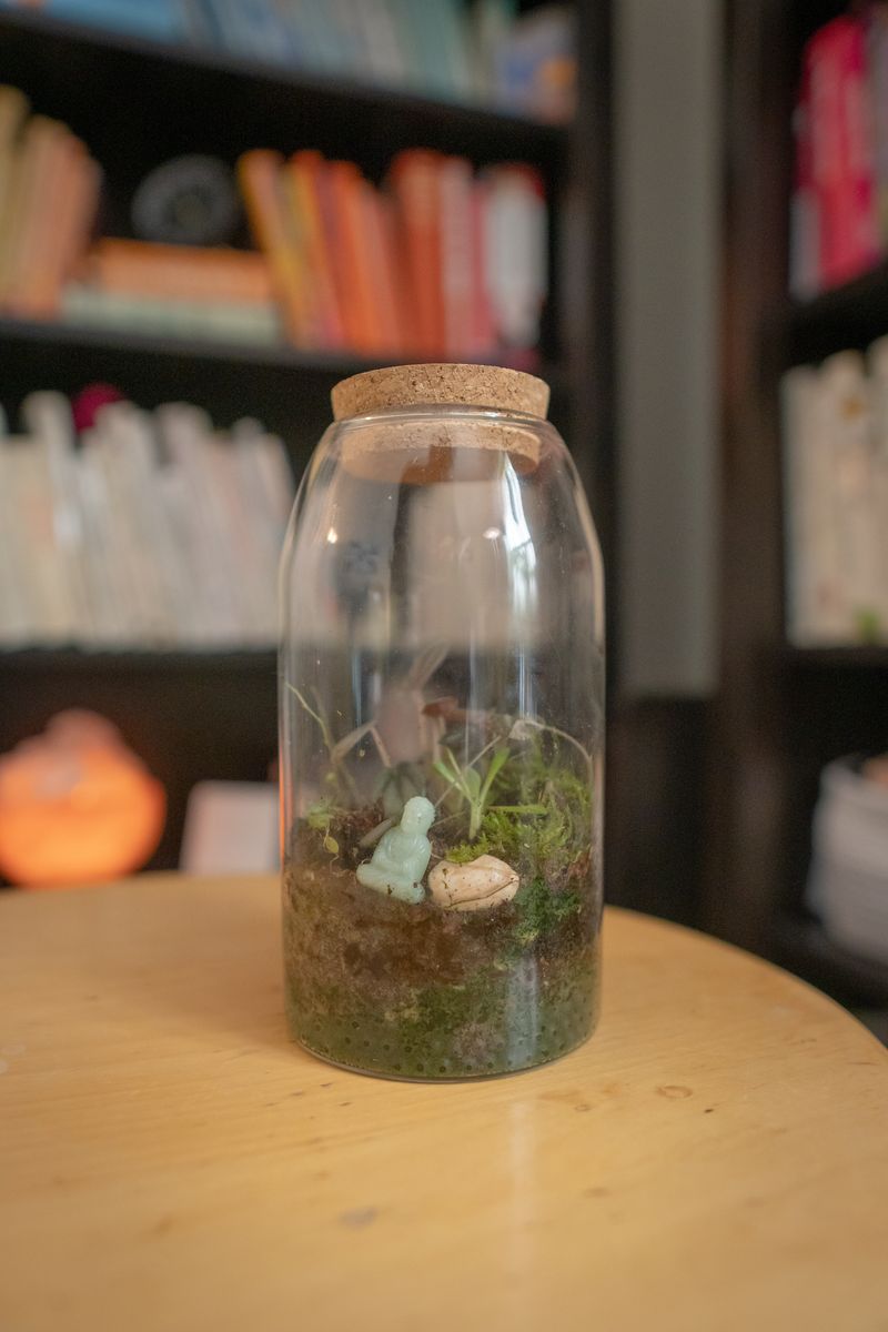 Terrarium on a side table in Aly's office