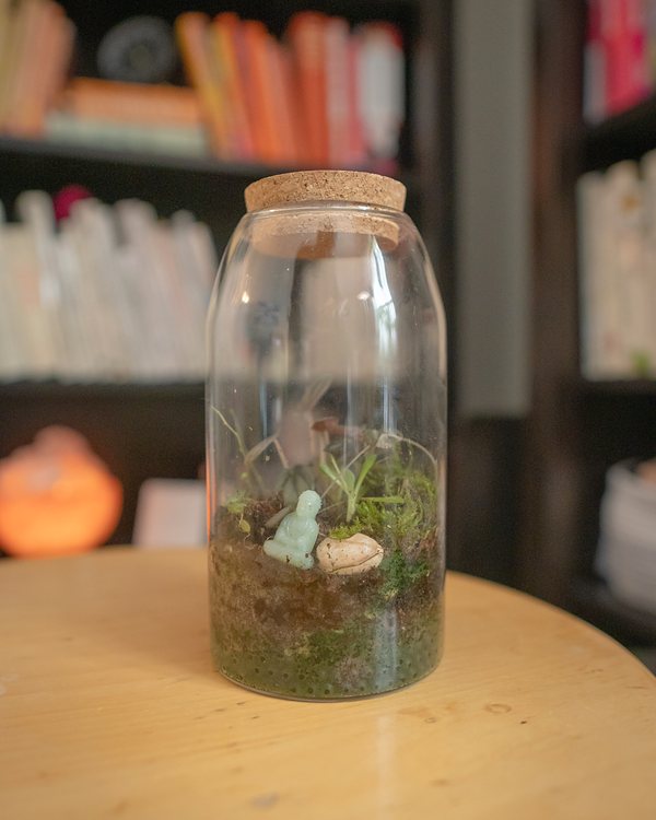 Moss terrarium in a glass jar